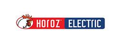 HOROZ Logosu